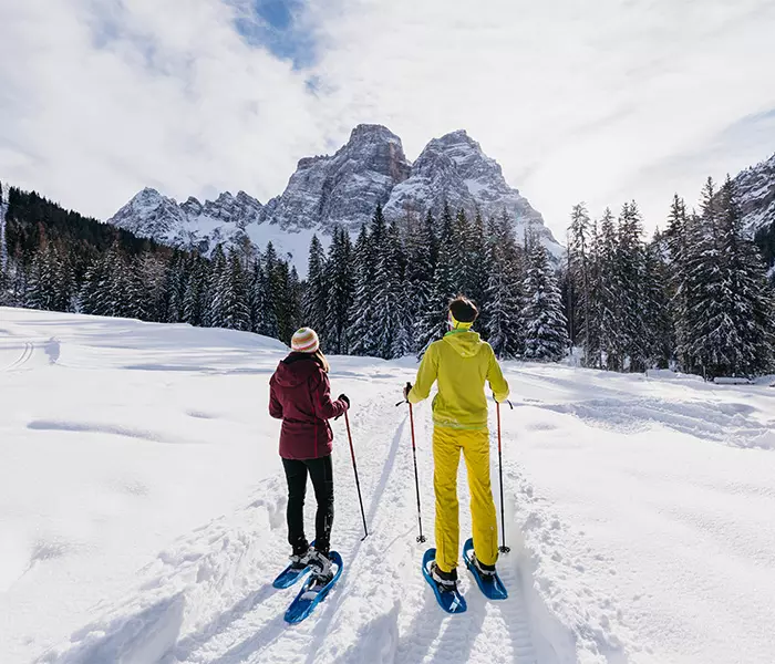 fiorentina tourism co