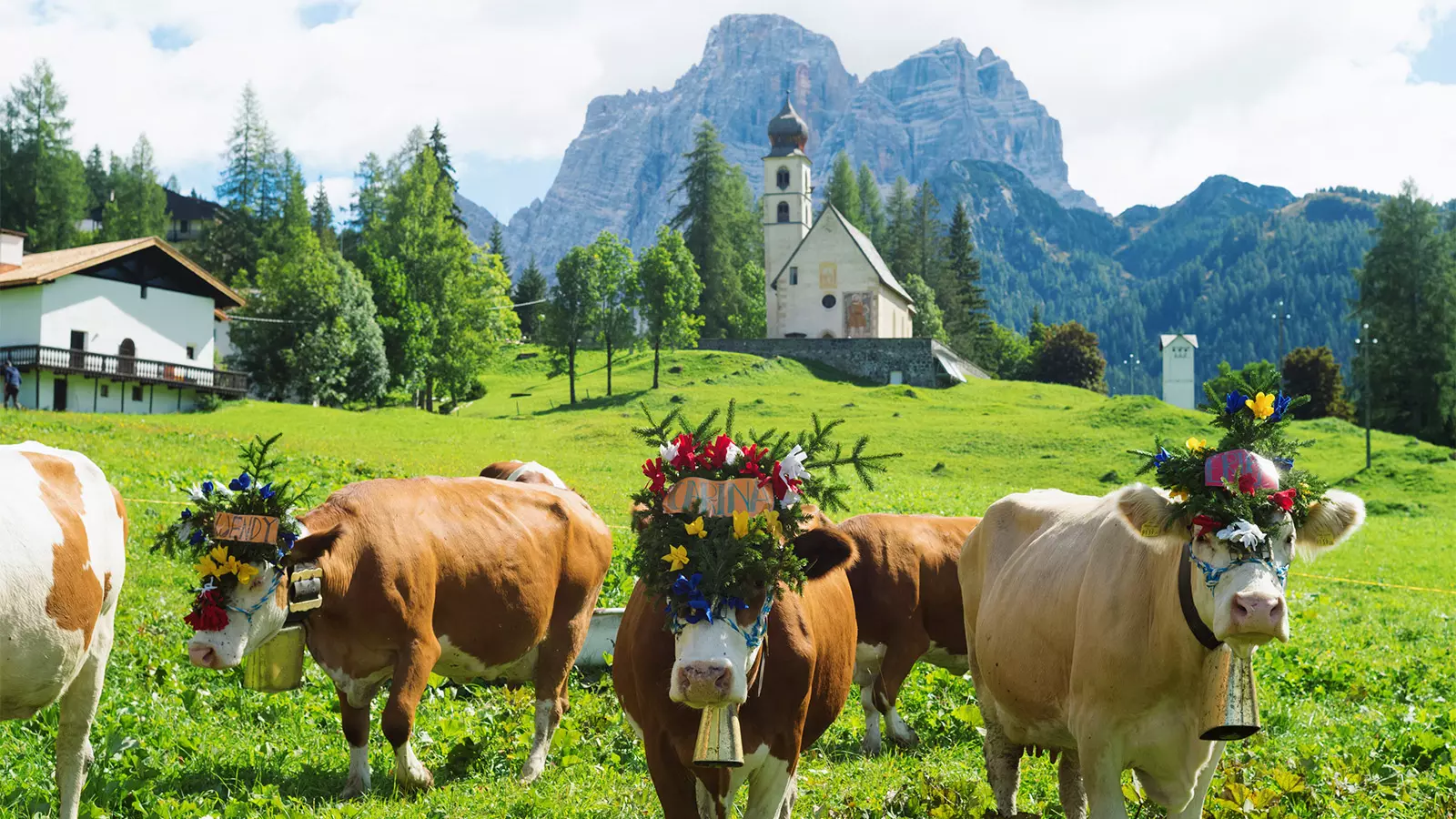 01 desmontegada val fiorentina selva di cadore